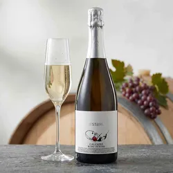 Christian Stahl Calcaire Blanc de Noirs Brut - Schaumwein trocken - Franken, Deutschland