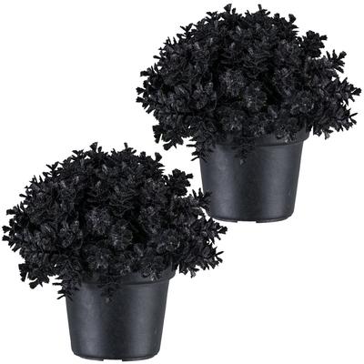 Kunstpflanze CREATIV GREEN "Eukalyptus", schwarz, H:13cm, Kunststoff, Kunstpflanzen, Kunstpflanze, in Kugelform