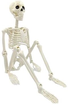 Uplift Treasures Halloween Posable Human Skeleton Decoration Horror Party Prop Halloween Posable Human Skeleton Decoration Horror Party Prop