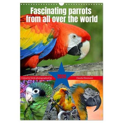 Fascinating parrots from all over the world (Wall Calendar 2026 DIN A3 portrait), CALVENDO 12 Month Wall Calendar