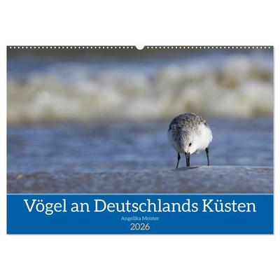 Vögel an Deutschlands Küsten (Wandkalender 2026 DIN A2 quer), CALVENDO Monatskalender
