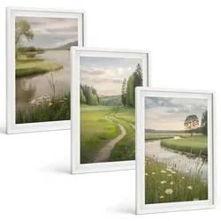 BILDER SET 3er Set - 40x60 cm Weißer Rahmen - Sommerliche Flusswiesen voller Blumen
