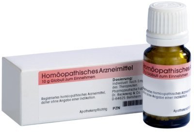 Dr.RECKEWEG & Co. GmbH CINNABARIS D 12 Globuli 10 g 00907964