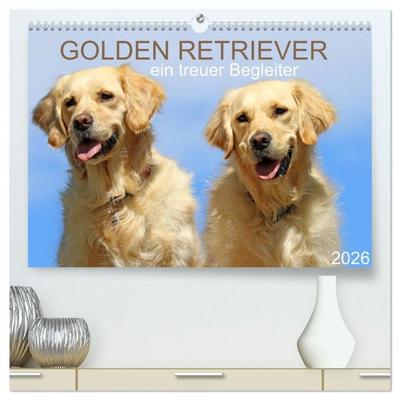Golden Retriever ein treuer Begleiter (hochwertiger Premium Wandkalender 2026 DIN A2 quer), Kunstdruck in Hochglanz