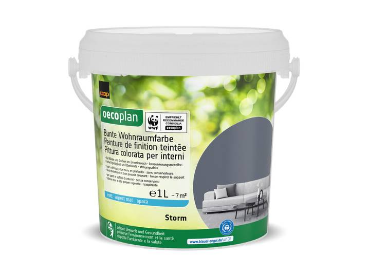Bunte Wohnraumfarbe Storm 1L