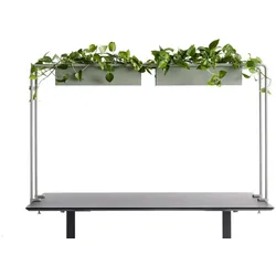APTO Schreibtisch Halterung für Blumenkästen 160x80x2cm mit Tischklemmen, olivgrün