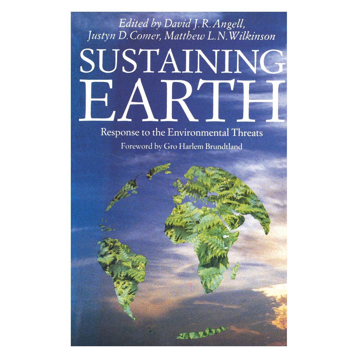 Palgrave Macmillan Uk Sustaining Earth (Englisch, Hardcover, David J. R. Angell, Justyn D. Comer, Matthew L. N. Wilkinson) (9780333524923)