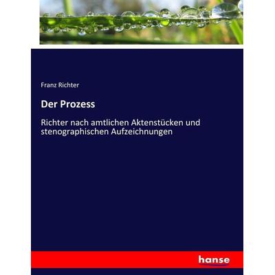 Der Prozess, Taschenbuch von Franz Richter, Hansebooks, 978-3-7436-5332-0
