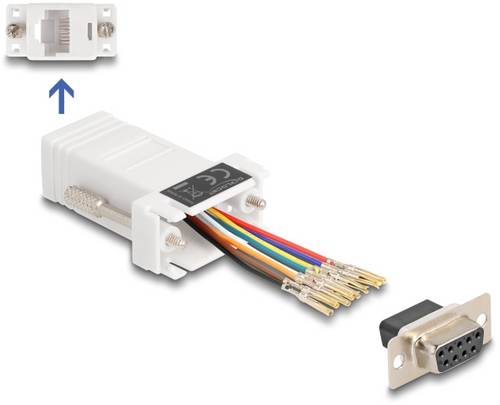 Delock 67105 VGA / RJ45 Adapter [1x D-SUB-Stecker 9pol. - 1x RJ45-Buchse] Weiß
