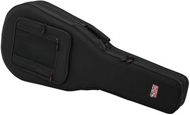 Gator Foam Case Classic