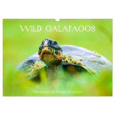 WILD GALAPAGOS (Wall Calendar 2027 DIN A3 landscape), CALVENDO 12 Month Wall Calendar