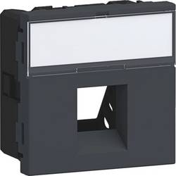 Hager Geräteeinbauset Graphitschwarz G45DM0119011 1 St.