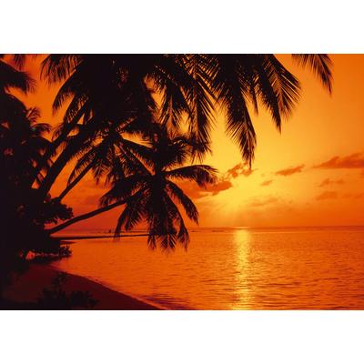 Fototapete PAPERMOON "Tropic Sunset", bunt, B:2,5m L:1,86m, Vlies, Tapeten