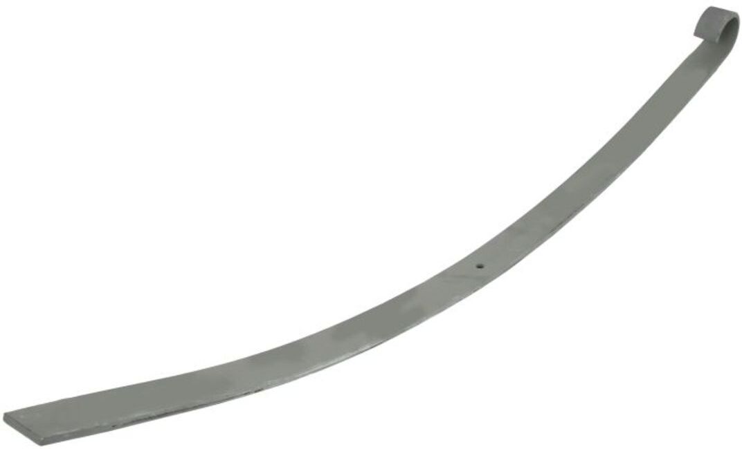 Federblatt TES 6738100219