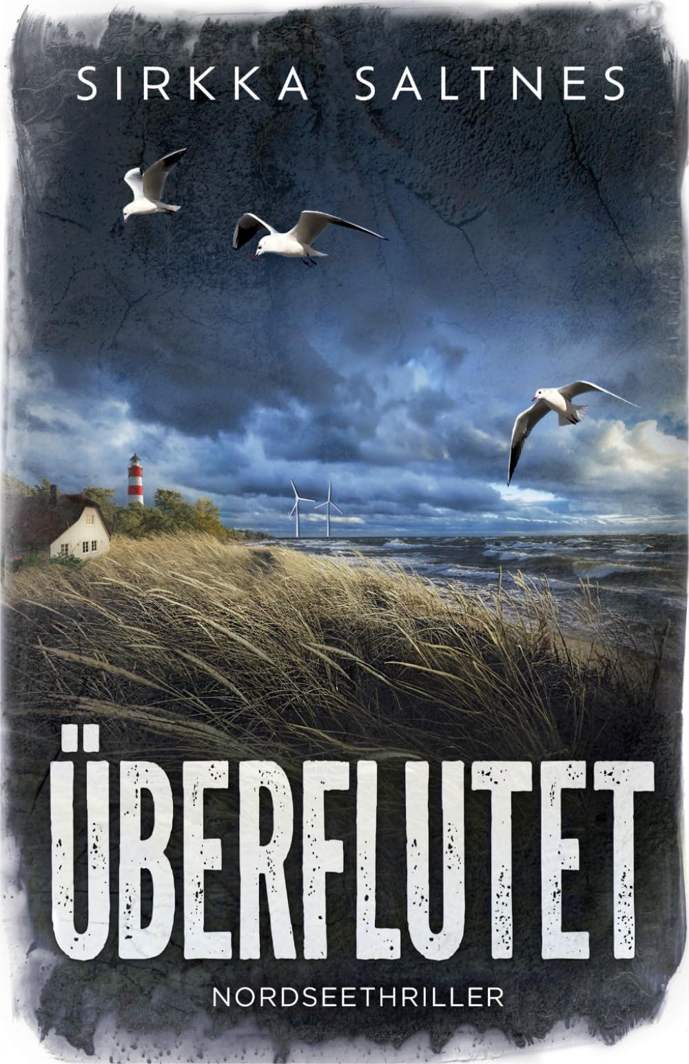 Sirkka Saltnes - Überflutet: Nordseethriller - Preis vom 15.10.2026 23:06:25 h