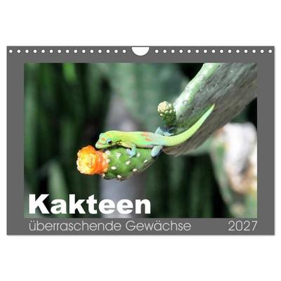 Kakteen - überraschende Gewächse (Wandkalender 2027 DIN A4 quer), CALVENDO Monatskalender
