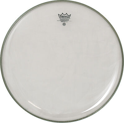 "Remo 11"" Ambassador Clear "