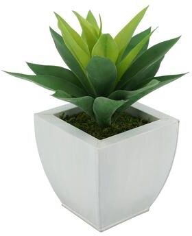 House of Silk Flowers Faux Frosted Light Green Succulent in Tapered Zinc Planter