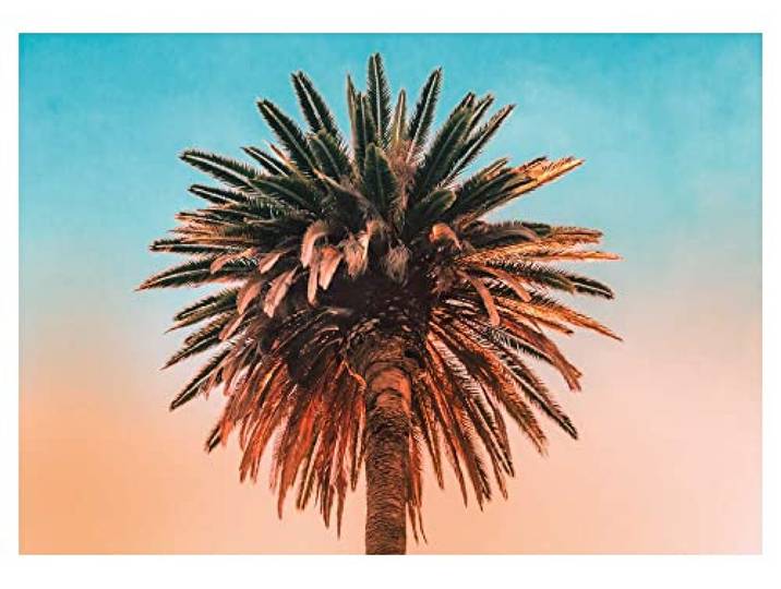 Komar Palm Tree - Dimensions : 70 x 50 cm Tableau mural - Affiche (sans cadre) - PURE Boutique