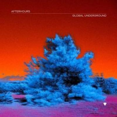 Global Underground:Afterhours 9 - Various, CD