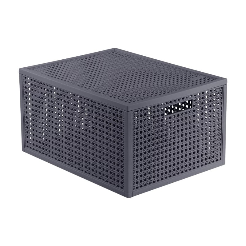 Curver Kaya opbergmand met deksel, antraciet, 20 l, B: 37,6 cm, D: 30 cm, H: 20,7 cm