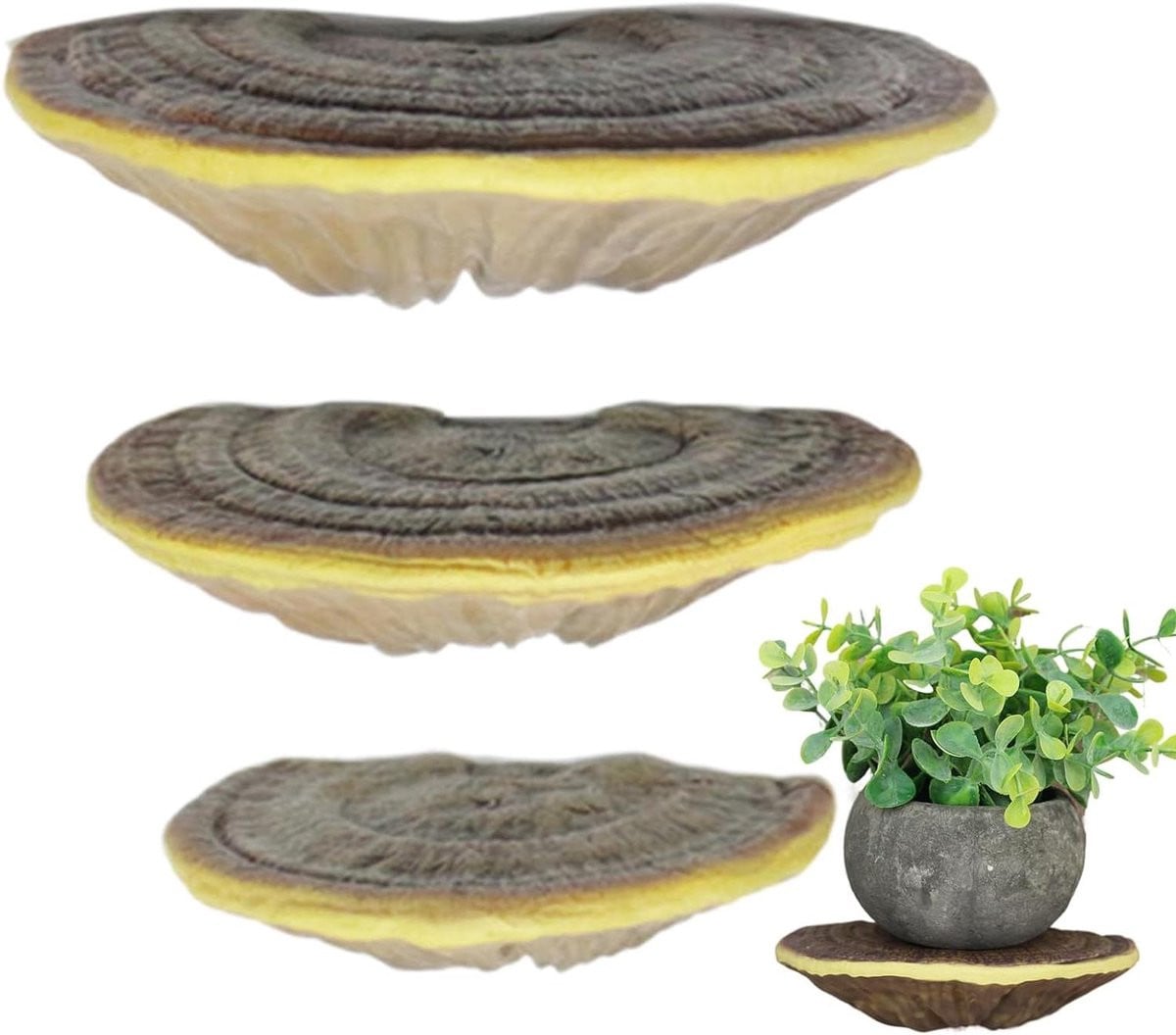 Set van 3 decoratieve zwevende paddenstoelenplanken voor opslag