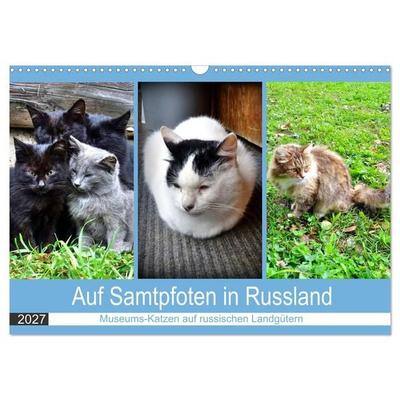 Auf Samtpfoten in Russland - Museums-Katzen auf russischen Landgütern (Wandkalender 2027 DIN A3 quer), CALVENDO Monatskalender