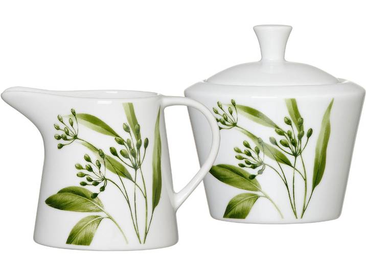 Milch- und Zuckerset RITZENHOFF & BREKER Evora , grün, 2 Stk., Porzellan, Geschirr-Sets, Milch- und Zuckerset, Geschirr-Set mit Botanik-Motiv