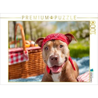 CALVENDO Puzzle Pitbull - Bereit fürs Picknick | 1000 Teile Lege-Größe 64 × 48 cm Foto-Puzzle für glückliche Stunden, von , Calvendo Puzzle