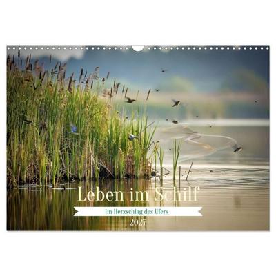 Leben im Schilf (Wandkalender 2027 DIN A3 quer), CALVENDO Monatskalender