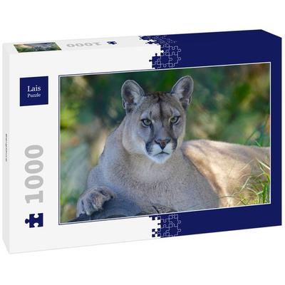 Lais Puzzle Berglöwe 1000 Teile