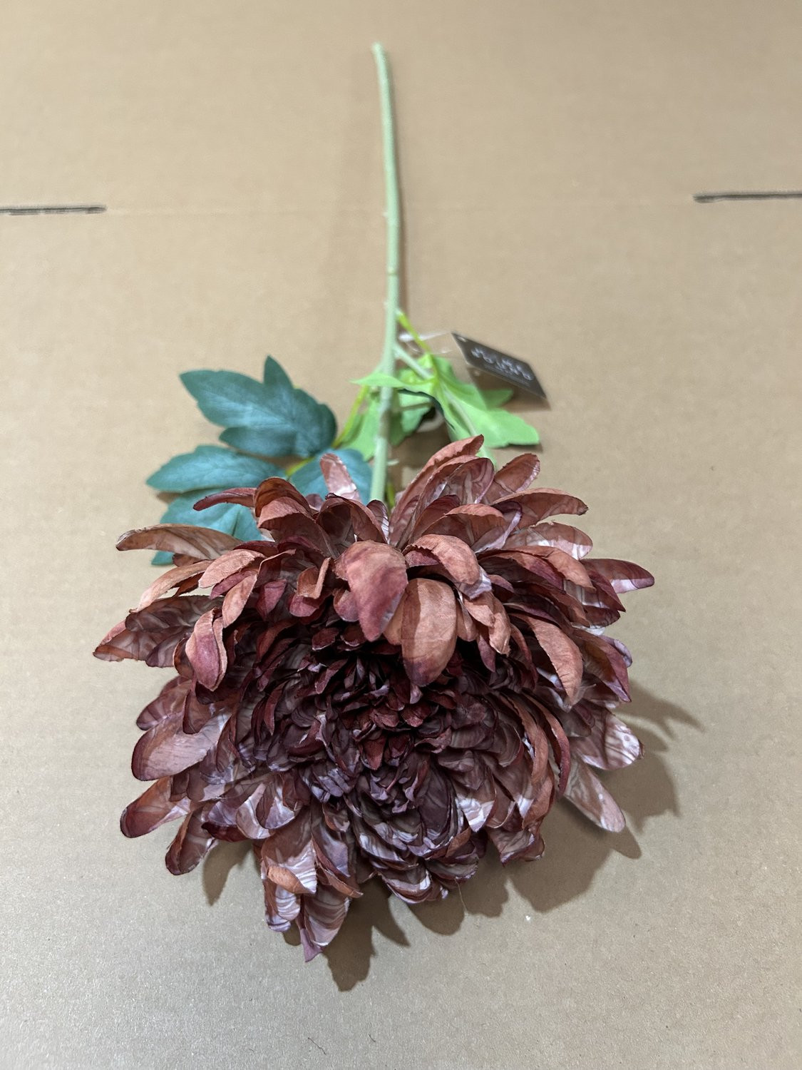 Homebound by Ky Kunstbloem gedroogde chrysant burgundy 64 cm