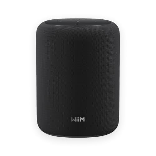 WiiM Sound Lite Smart Speaker - Draadloze Multi-Room Speaker - Zwart