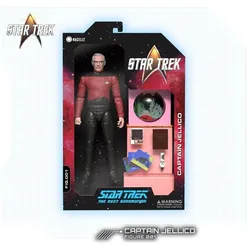Nacelle Consumer Raumschiff Enterprise - Das nächste Jahrhundert Actionfigur 1/12 Captain Jellico 16 cm