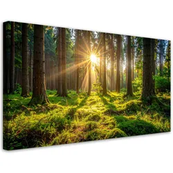 LEINWANDBILD Landschaften 80x40cm