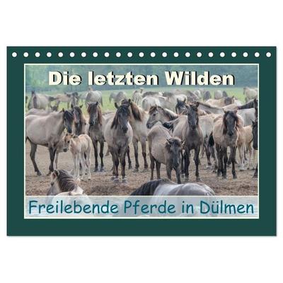 Die letzten Wilden - freilebende Pferde in Dülmen (Tischkalender 2027 DIN A5 quer), CALVENDO Monatskalender