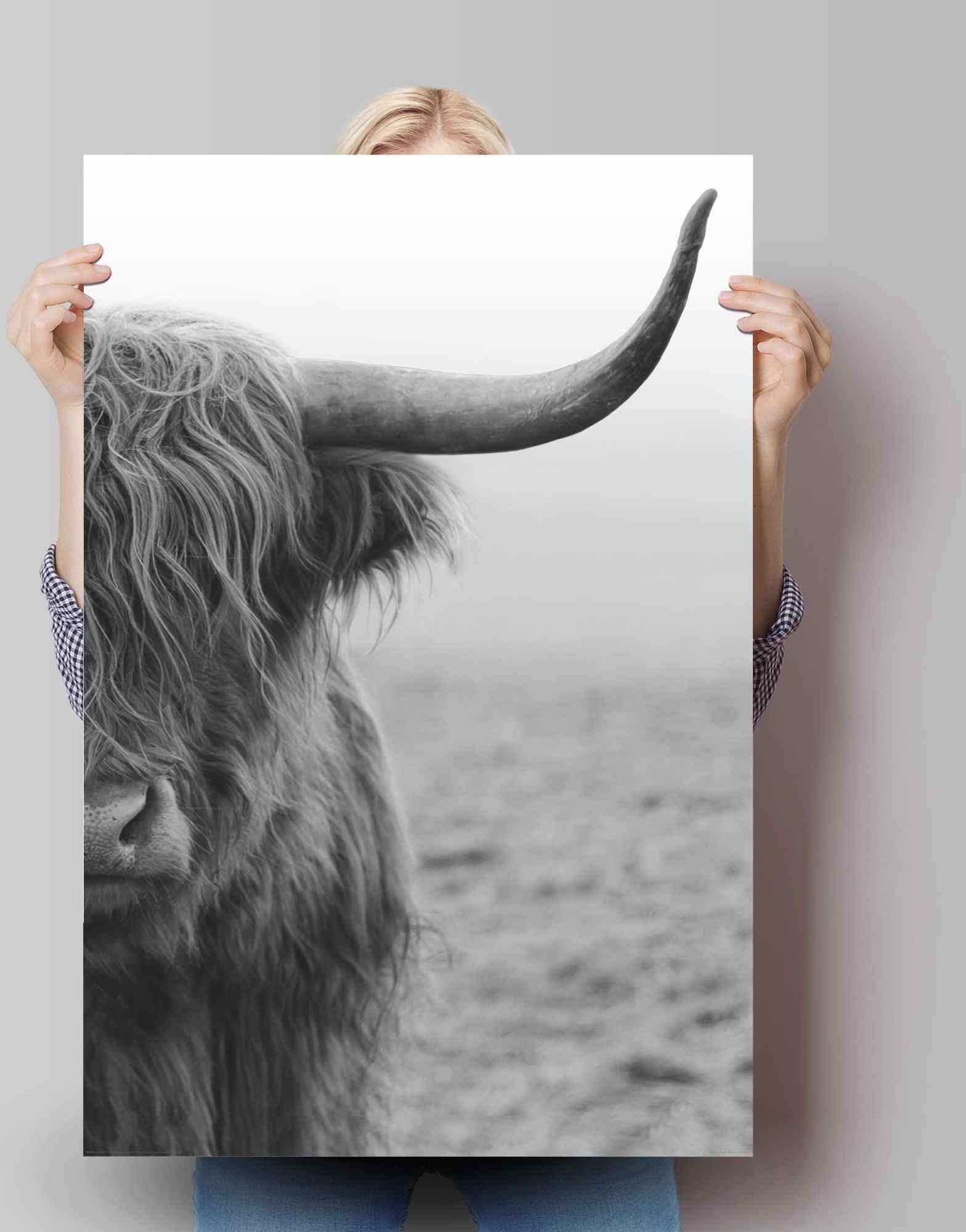 Reinders! Poster REINDERS "Poster Highlander Bulle", schwarz (farbe bild(er): schwarz), B:61cm H:91,5cm, Papier, Bilder, Poster farbe bild(er): schwarz B/H/T: 61cm x 91,5cm, Kuh, 1 Stk.