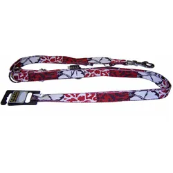 Arka Piment (25, Hund, Hundesport, Spazieren), Halsband + Leine