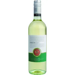 Grillo, Terre di Campo Sasso, 2022