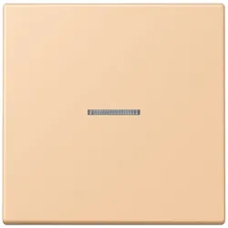 Jung Wippe mit Lichtleiter LC 101 KO5 237