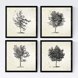 POSTER Set mit 4 Blättern der Grove Jahrgang Hintergrund 20x20cm Schwarzer Rahmen