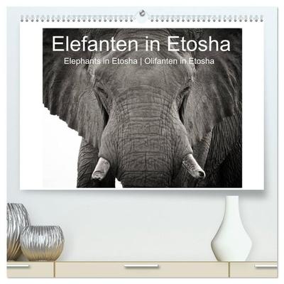 Elefanten in Etosha (hochwertiger Premium Wandkalender 2027 DIN A2 quer), Kunstdruck in Hochglanz