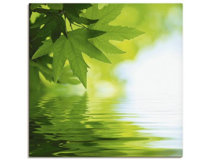Leinwandbild ARTLAND Grüne Blätter reflektieren im Wasser , grün (farbe bild(er): grün), B:50cm H:50cm, Bilder, Leinwandbild, auf Holzrahmen gespannt
