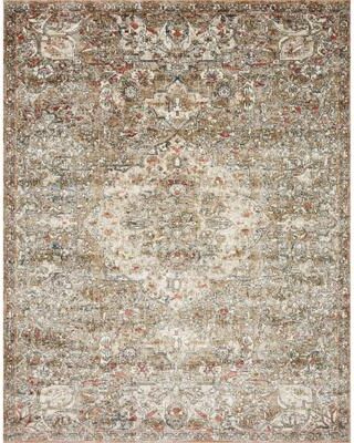 Alexander Home Valeria Distressed Medallion Area Rug