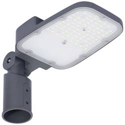 LEDVANCE Area Small 181981.LE.00.01 LED-Mastleuchte LED ohne 45 W Grau