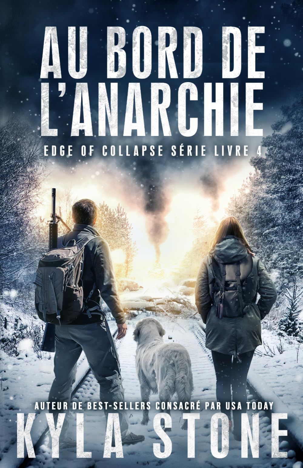 Kyla Stone - Au Bord De L’anarchie: Thriller Post-Apocalyptique (Série Edge of Collapse, Band 4) - Preis vom 02.10.2026 23:42:20 h