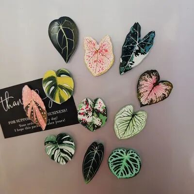 Modern Mode Marketplace Kawaii Tropical Plant Refrigerator Magnets Begonia & Monstera Whiteboard Magnets For Home Decor summer