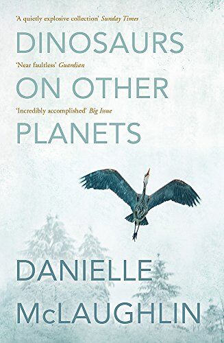Danielle McLaughlin - Dinosaurs on Other Planets - Preis vom 17.10.2026 19:25:27 h