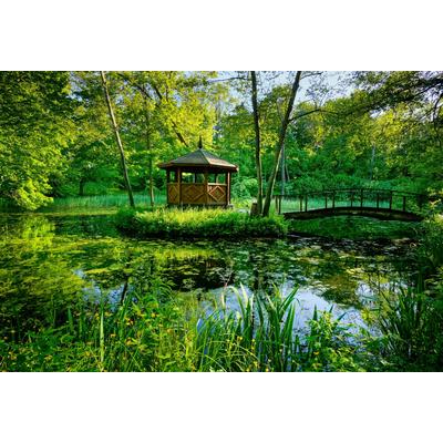 Fototapete PAPERMOON "GARTEN-BLUMEN BÄUME PFLANZEN PARK STEINE BLÜTEN WALD", bunt, B:5m L:2,8m, Vlies, Tapeten