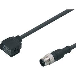 ifm E11429 Verbindungskabel E11429 E11429 ifm Electronic Inhalt: 1 St.